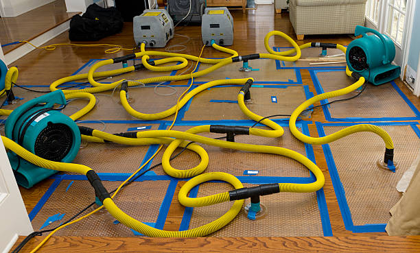 Professional Burst Pipe Water Damage technician working in Franklin, KY
